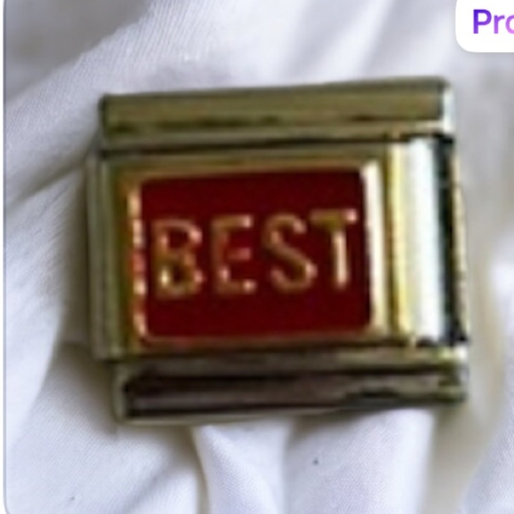 ZOPPINI (nomination) 2/$25 BEST bracelet link